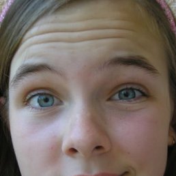 Neposeda, Москва