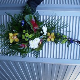 Ринат, Москва