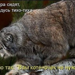 Коля, Киев