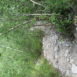 Kj, Киев