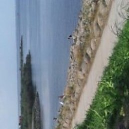 Анютка, Владимир