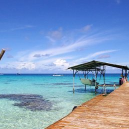 Роман, Санкт-Петербург