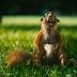 Дрюня, Москва