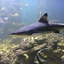 Сергей, Москва