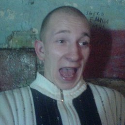 Миша, Санкт-Петербург