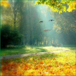 Иринка, Москва