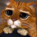 Лёха, Санкт-Петербург