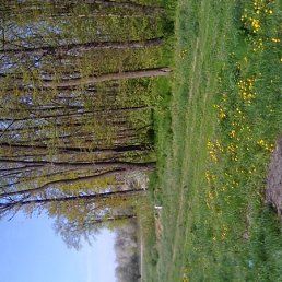 Марина, Киев