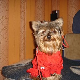 Lenochek, Москва