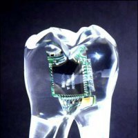 Евгений, Одесса