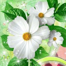 Юлия, Степногорск