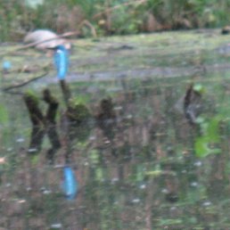 Оля, Енакиево