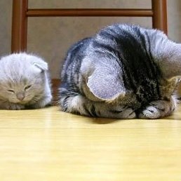 Артём, Киев