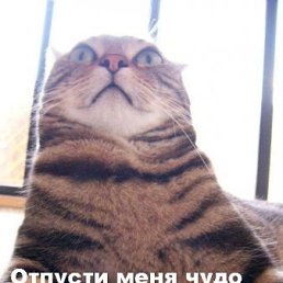 Дмтрий, Киев