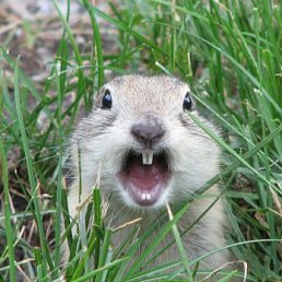 Дмитрий, Москва