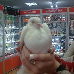 Валя, Москва