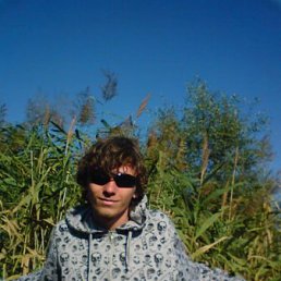 Дениска, Киев