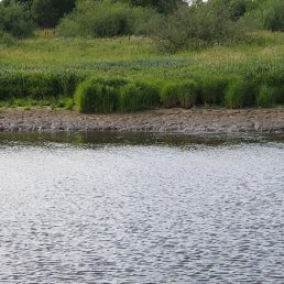 Леха, Москва