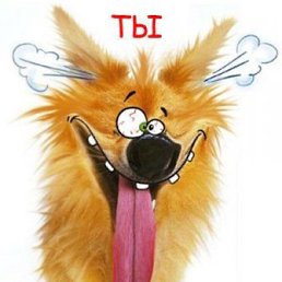 Рома, Москва